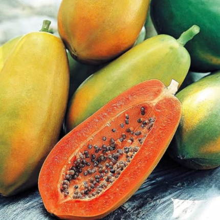 Papita