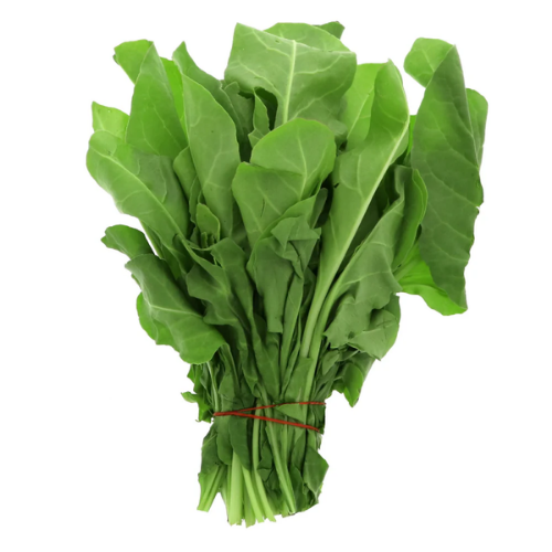 plak Palak